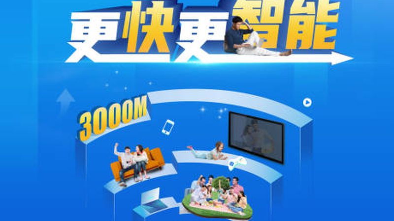 交换机与入侵检测系统：网络安全的两道防线